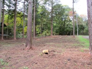 追分160坪土地-御影用水温水路徒歩圏